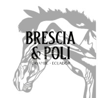 Brescia & Poli logo - Similar company to Jaan Water
