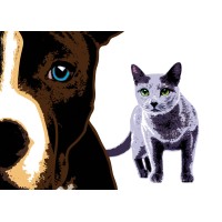 Moxie's Pet Service Inc logo - Similar company to Studentlinx: S.O.U.L. Food Initiative And Pet Nation Community Service Organization