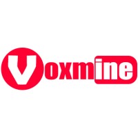 Voxmine Networks Ltd logo - Similar company to Artel Fzc