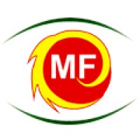 Myanmar Finance International Limited logo - Similar company to Bayon Microfinance