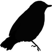 Blackbird Design Studio RI logo - Similar company to Birdblack Design