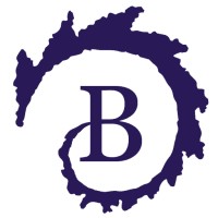 The Browne Center for Innovative Learning logo - Similar company to Eiv Technical Services