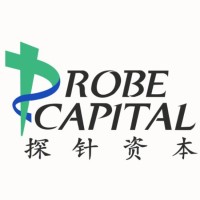 Probe Capital 探针资本 logo - Similar company to 明悦数据