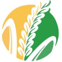 Aaradhya Global logo - Similar company to Aradhya Solutions Limited