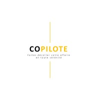 COPILOTE logo - Similar company to Light Control