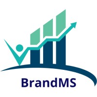 BrandMS logo - Similar company to 314.Pl Sp. Z O.O.