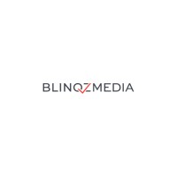 BlinqzMedia logo - Similar company to Spects Data Partners