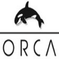 Orca Logic Ltd logo - Similar company to Tnv Solution