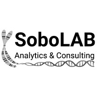 SoboLAB Analytics & Consulting AB logo - Similar company to Stremtech Ab
