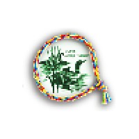 Ymca Camp Nellie Huckins logo - Similar company to Women In Film & Video New England