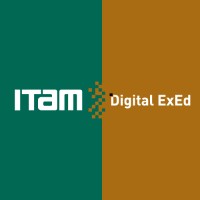 ITAM Digital ExEd logo - Similar company to Dsinteg