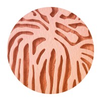Northern Institute logo - Similar company to Powell Engineering