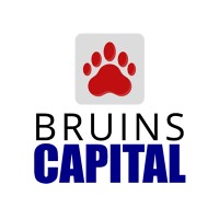 Bruins Capital logo - Similar company to Alphagen Intelligence Corp