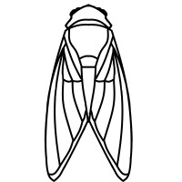 CICADAS logo - Similar company to Advanced Crm Solutions