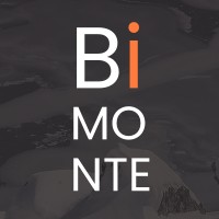 Bimonte AB logo - Similar company to Solver Se