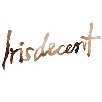 irisdecent logo - Similar company to Collectins