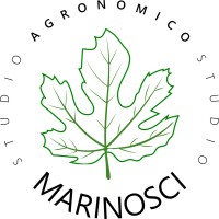 Studio Agronomico Marinosci logo - Similar company to Studio Ceaa – Consulenza Enologica Agronomica Ambientale