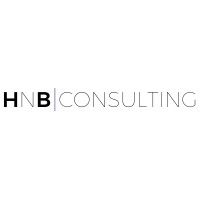 HNB Consulting logo - Similar company to Kodes İnteraktif Medya Ve Yazılım A.Ş.
