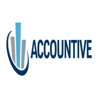 ACCOUNTIVE logo - Similar company to Accountive