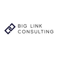 Big Link Consulting logo - Similar company to Y&V Studio