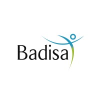 Badisa Charity logo - Similar company to Medcrowd