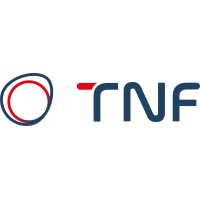 TNF Solutions logo - Similar company to Weconnect Mobile