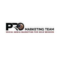 Pro Marketing Team logo - Similar company to American Precious Metals Group - Apmg