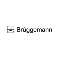 BruggemannChemical U.S., Inc. logo - Similar company to Kumtal