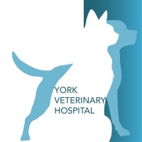 York Veterinary Hospital - Toronto logo - Similar company to X15 Studiio