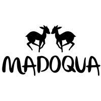 Madoqua