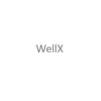WellX logo - Similar company to Wellsx