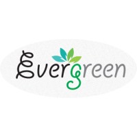 EVERGREEN TECHNICAL SOLUTIONS QATAR logo - Similar company to Palm-Tech Qatar