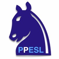Ppesl P&P European Services Limited