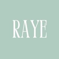 Raye Strategies logo - Similar company to Finteam Business Consulting