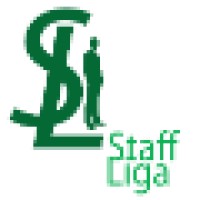 Лига персонала logo - Similar company to Pult Group