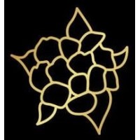 LA HELICHRYSUM logo - Similar company to Terra Uomini E Ambiente