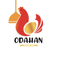 Odahan logo - Similar company to E.Baag - Logistics