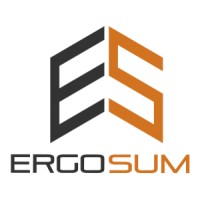 Asesorias Ergo Sum logo - Similar company to Ergosum
