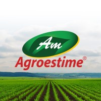 Agroestime logo - Similar company to Big Auto