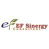 EF Sinergy Consultant logo - Similar company to Grc Training Online