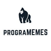 prograMEMES logo - Similar company to I'M Programmer
