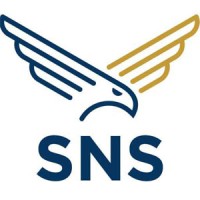 Strother Nuckels Strategies logo - Similar company to Potomac Waves Media