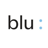 blu : gallery logo - Similar company to Store