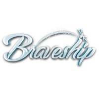 Braveship Books logo - Similar company to Money Intelligence