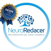 NeuroRedacer logo - Similar company to Armesto Y Bardal Abogados
