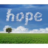 New Hope Foundation logo - Similar company to Newhope