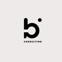 b. consulting logo - Similar company to Elevate - It Leaders & Executives