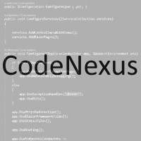 CodeNexus logo - Similar company to Paralogik