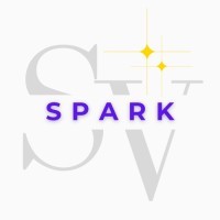 Spark Social Ventures logo - Similar company to Msz Consult
