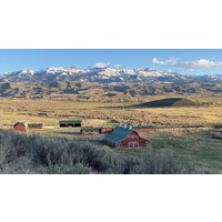 Wyoming 291 LLC logo - Similar company to Wyoming Natural Diversity Database (Wyndd), University Of Wyoming